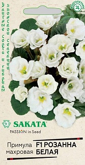 Примула Розанна белая F1, 4 шт. Саката.
