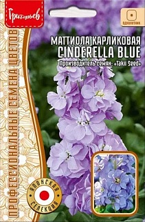 Маттиола Cinderella Blue карликовая махр., 5 шт.