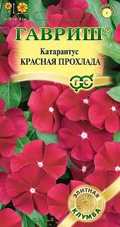 Катарантус Красная прохлада, 7 шт. Элитная клумба. 