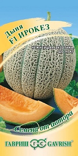 Дыня Ирокез F1, 15 шт. Авторские семена.