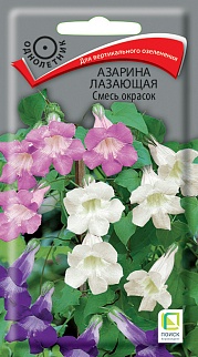 Азарина Лазающая Смесь окрасок, 10 шт.