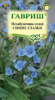 Незабудочник седой Синие глазки, 15 шт. Цветочная коллекция.