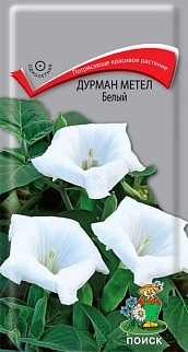 Дурман метел Белый, 1 г