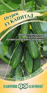 Огурец Капитал F1, 10 шт., Авторские семена. 