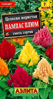 Целозия перистая Пампас плюм, смесь сортов, 0,3 г