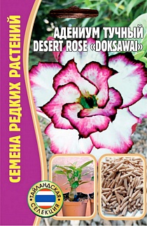 Адениум Doksawai DESERT ROSE, 3 шт.