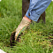 Фото: ogorodmarket.com / Игорь Сергеев